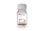 Sodium Pyruvate 100 mM Solution