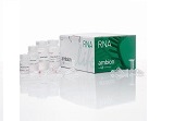 PURELINK RNA MINI KIT