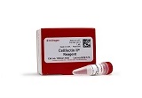 Cellfectin? II Reagent