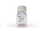 Penicillin-Streptomycin-Glutamine (100X), Liquid
