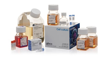 新品推薦：ExpiCHO Expression System