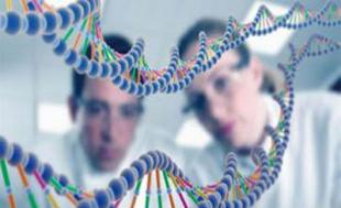 醫(yī)藥生物行業(yè):精準(zhǔn)醫(yī)療列入國家重點(diǎn)研發(fā)計劃