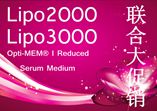 Lipo2K&3K、血清培養(yǎng)基聯(lián)合促銷